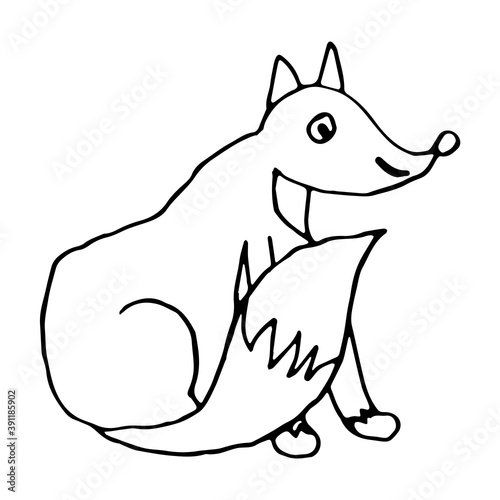 Cartoon doodle linear sitting fox isolated on white background. Vector illustration. © _aine_