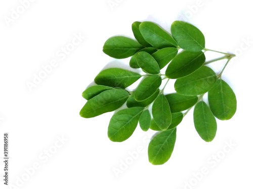 Moringa leaves and flowers (Moringa oleifera) Moringa powder capsules Isolated on a white background Moringa powder for making tea(herbs)	