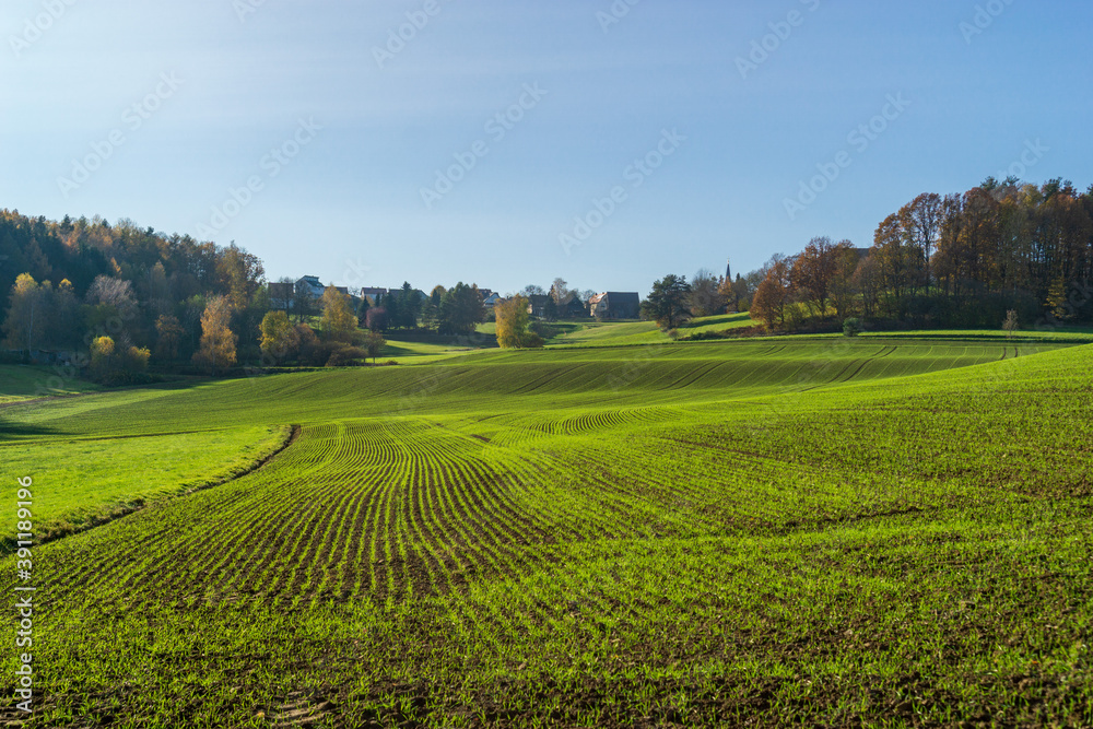 Frisch angesäte Felder sprießen grün aus dem Boden heraus. Landschaftsbild von den Feldern in Lindenhardt. Bäuerliche Wohnhäuser im Hintergrund. Bayern, Deutschland, 2020. 