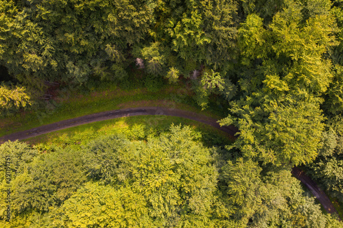 Curve of forest road in summer nature directly from above. Path through woodland with large green trees growing around from aerial perspective. Concept of transportation in wilderness.