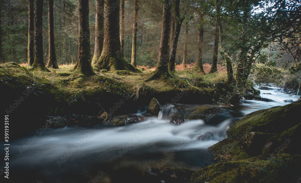 Gougane Barra National Forest Park. Green forest.. At the source of the river Lee. Ireland Gougane Barra National Forest Park. Green forest.. At the source of the river Lee. Ireland