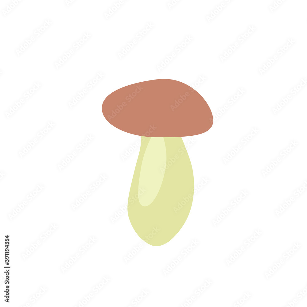 boletus mushroom on white background boletus mushroom on white background