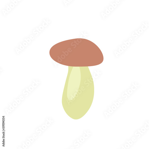 boletus mushroom on white background