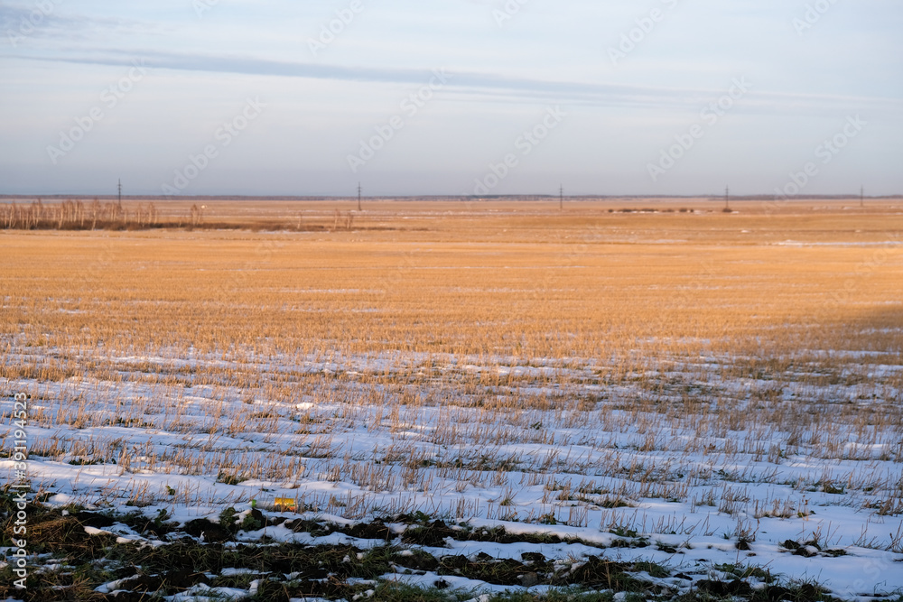 The endless field of yellow grass is partially covered with snow.