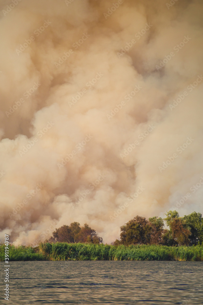 Fototapeta premium Large clouds of smoke, fire in nature.
