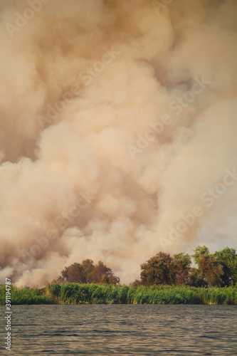Large clouds of smoke, fire in nature. © zhukovvvlad