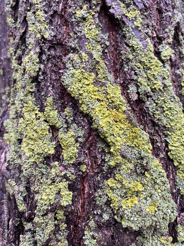 texture