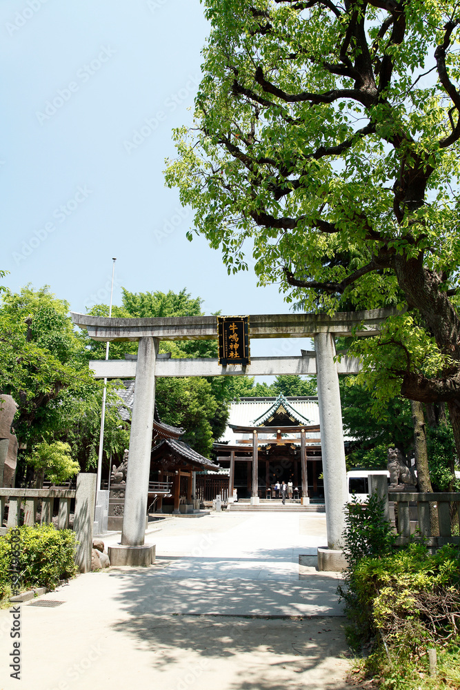 牛嶋神社（隅田公園：向島）