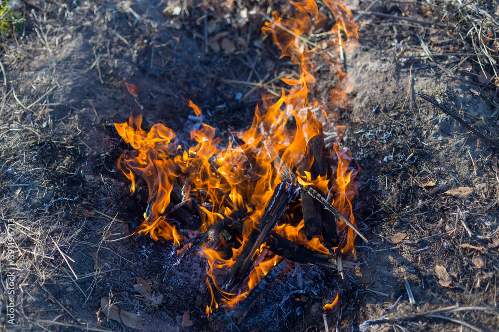 light a fire in nature for food light a fire in nature for food