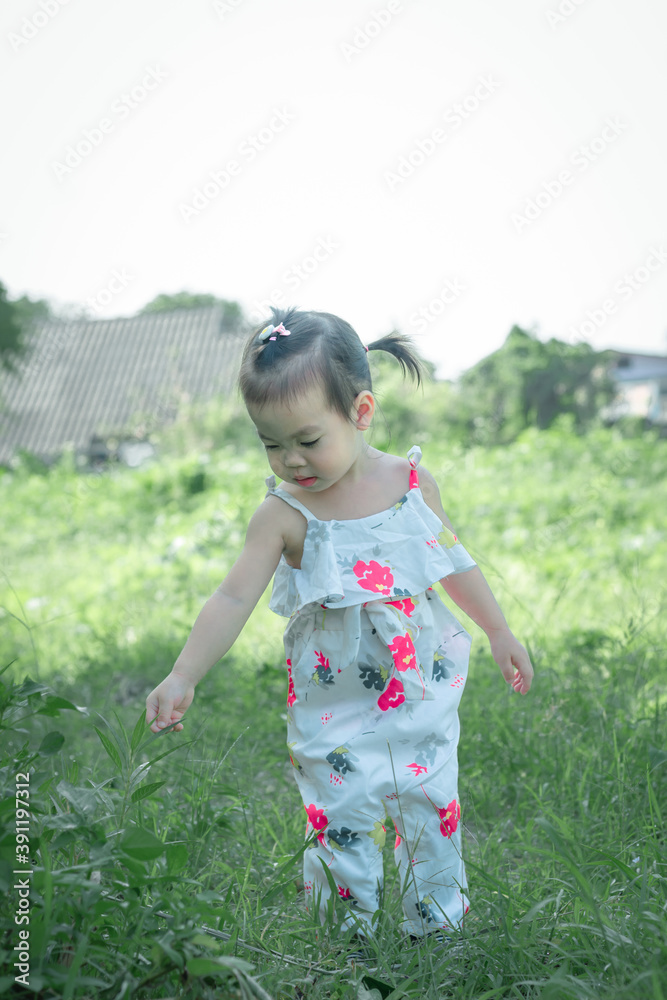 Beautiful cute asian little girl in the morning on the meadow Beautiful cute asian little girl in the morning on the meadow