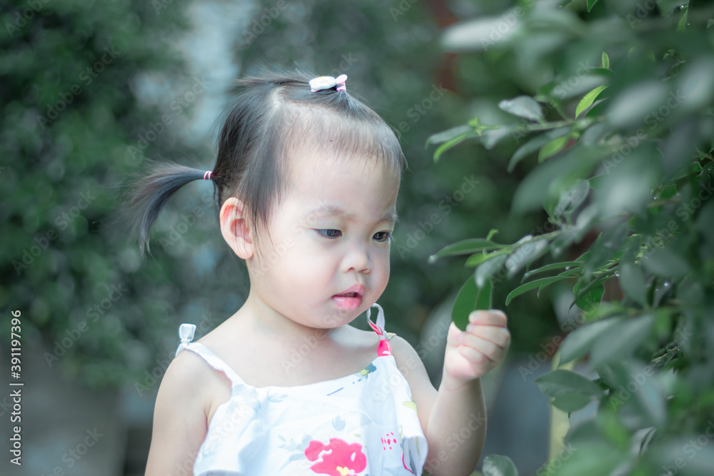 Beautiful cute asian little girl in the morning on the meadow Beautiful cute asian little girl in the morning on the meadow