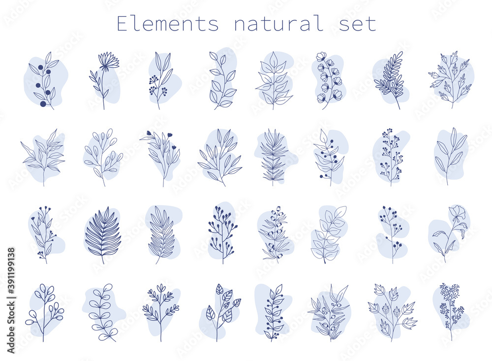 Set of tropical leaves and plants and flowers on an isolated white background. Hand-drawn style. Stock illustration. For polygraphic design and printing on fabric. Abstract shapes. Set of tropical leaves and plants and flowers on an isolated white background. Hand-drawn style. Stock illustration. For polygraphic design and printing on fabric. Abstract shapes.