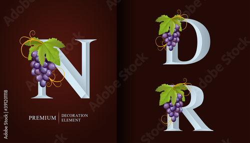 Elegant Wine Logo. Monogram Letters N, D, R. Royal capital letter is surrounded Grapes, Leaf and Curl. Calligraphic emblem design or identity for Wine, Menu, Restaurant, Label, Business card, Cafe.