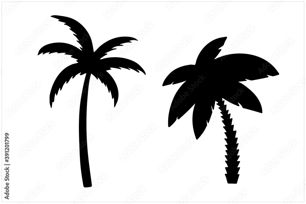 Obraz premium Palm trees set, isolated hand drawn black and white vector illustration on white background