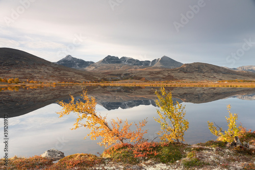 Fototapeta Naklejka Na Ścianę i Meble -  Autumn in Dørålen, Rondane, Norway.