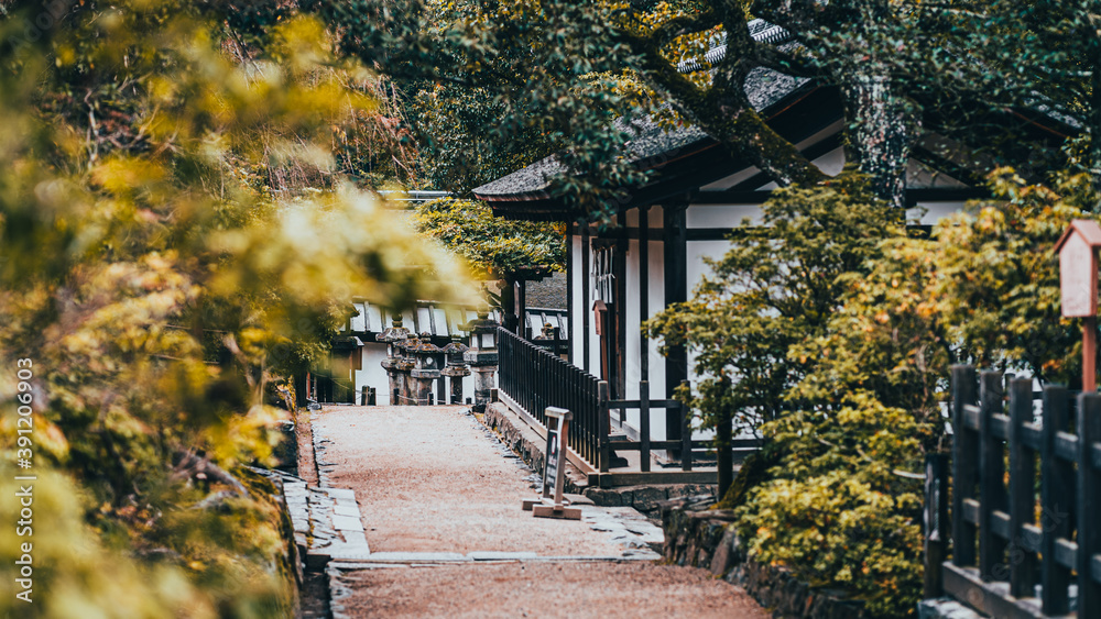 神社 神社
