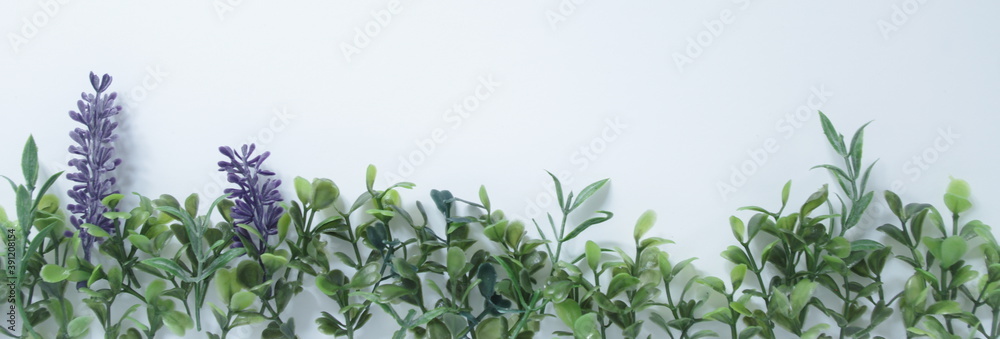 custom made wallpaper toronto digitalbandeau herbe plantes