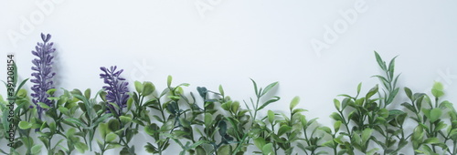 Wallpaper Mural bandeau herbe plantes Torontodigital.ca