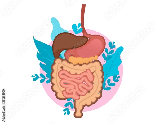 gastrointestinal tract medical concept icon