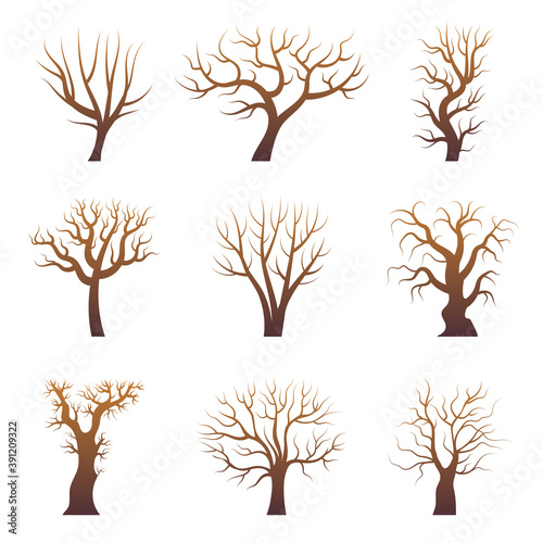 Tree branch silhouettes. Abstract forest trees without leaves natural plants vector set. Illustration forest branch tree, nature stylized wood trunk