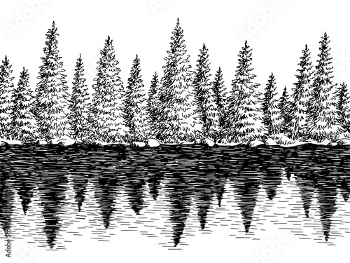 Fir forest river reflection graphic black white landscape sketch illustration vector