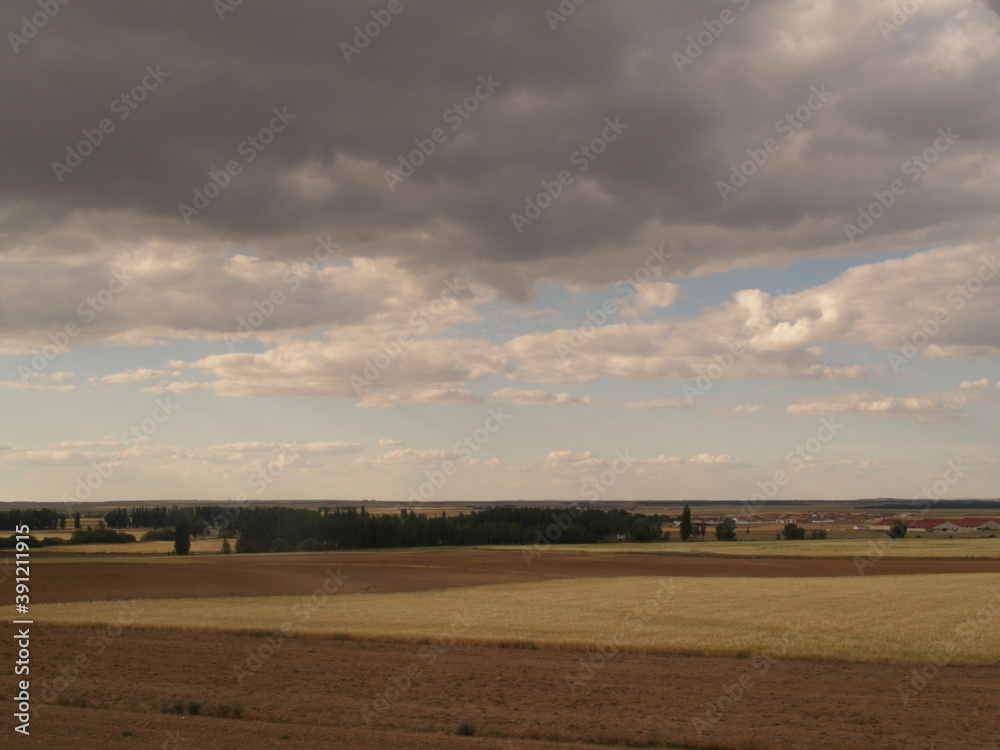 Crop fields throughout Castilla y León. Spain