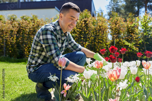gardening and people concept - happy smiling middle-aged man taking care of tulip flowers at summer garden © Syda Productions
