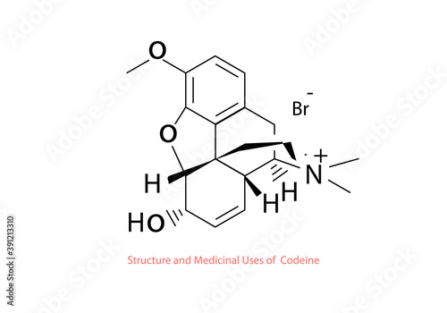 structure and medicinal uses of menadione vector design illustration photo