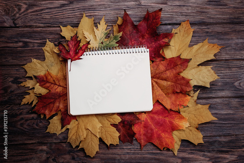 Autumn flat lay composition. open notebook and autumn leaves. Concept for Back to school. copy space. Fall season. blank note pad golden maple leaves. education and learning backdrop