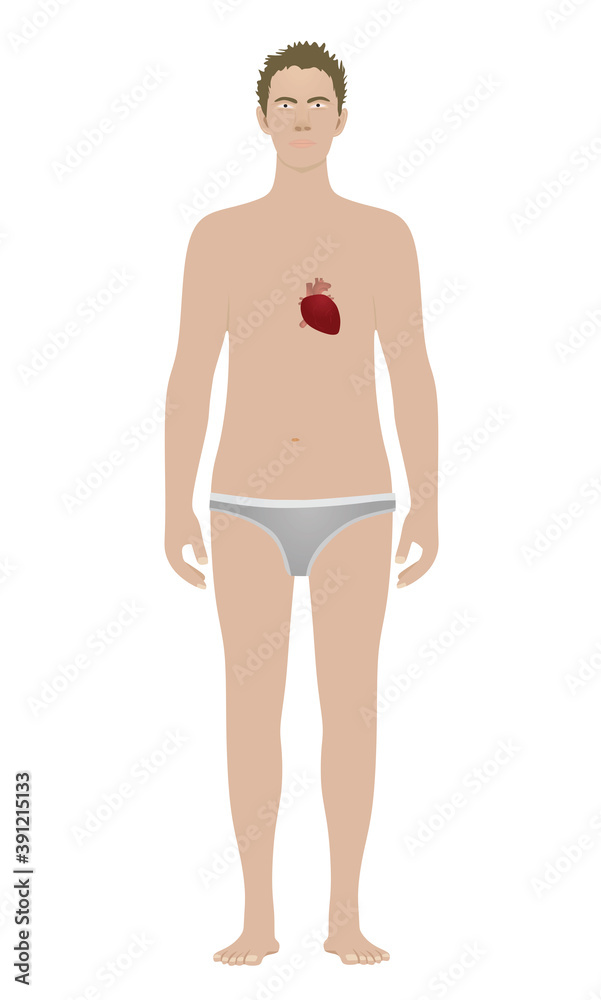 Heart  isolated on standing man. vector