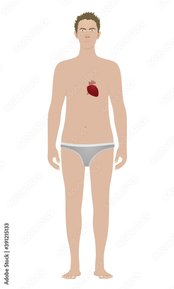 Heart isolated on standing man. vector Heart isolated on standing man. vector
