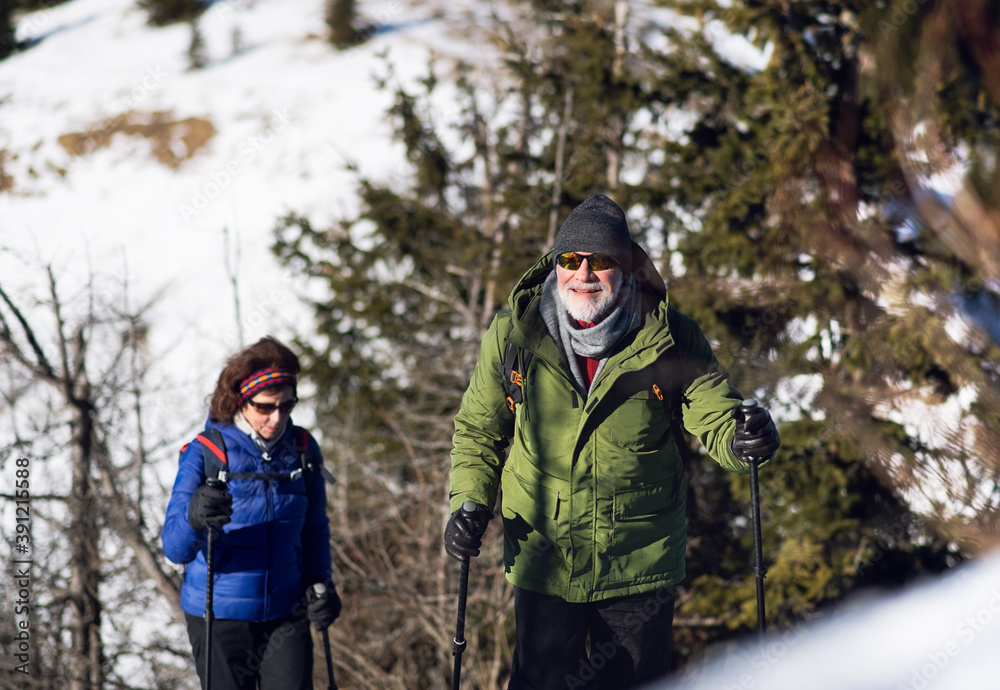 Senior couple with nordic walking poles hiking in snow-covered winter nature.