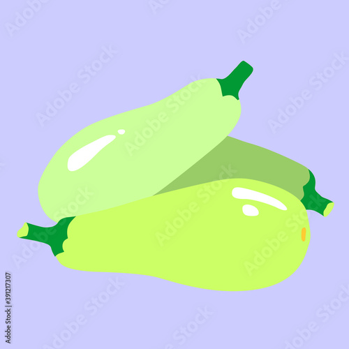 Zucchini, hand drawn vector illustration