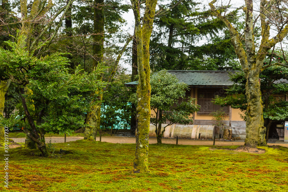 日本　石川県金沢市、兼六園の庭園