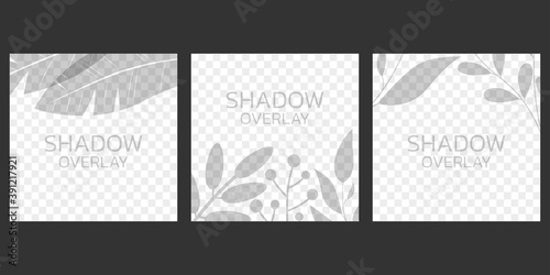 Shadow overlay set. Transparent background with leaves and plants. Vector illustration. © metelsky25