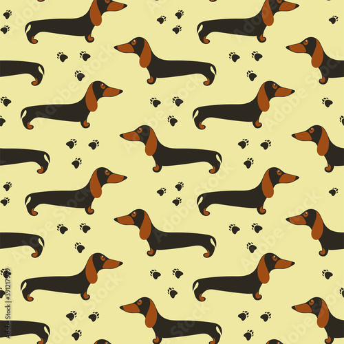 Vector seamless pattern with funny cartoon dachshunds. Wallpaper with a nice dogs. Texture for textile or wrapping paper.