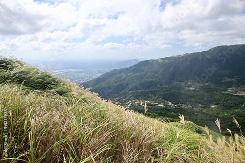 Every autumn, the Miscanthus is full of Yangming Mountain. This scene was taken on the Xiaoyoukeng Trail. photo