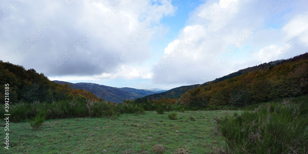 Typical landscape of forest and nature in the Sila National Park in Italy