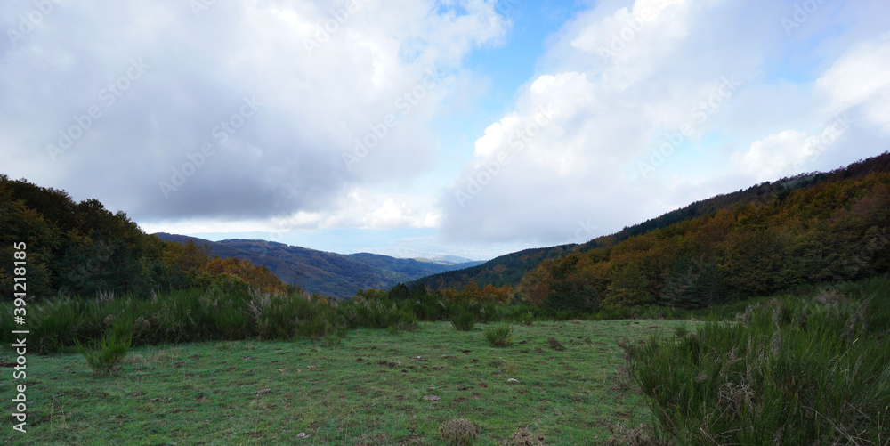 Obraz premium Typical landscape of forest and nature in the Sila National Park in Italy