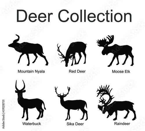 Deer collection vector silhouette illustration isolated on white background. Mountain nyala antelope. Moose elk. Reindeer buck. Red deer grassing. Waterbuck african deer. Sika symbol.