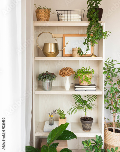 Houseplants and home decor on wooden shelves © senteliaolga