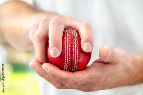 Принти на полотні Cricket fast bowler holding ball close up