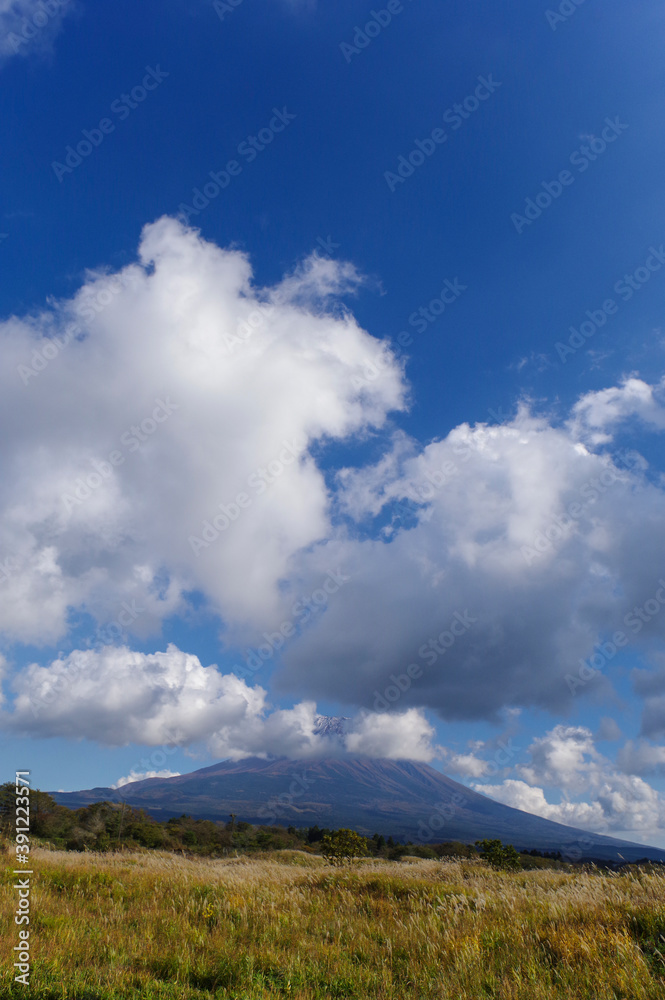 ススキが広がる高原から見る富士山