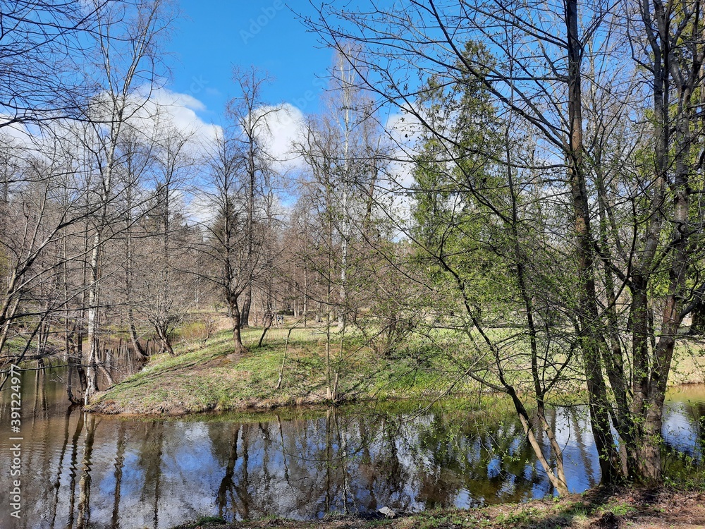 lake in the park