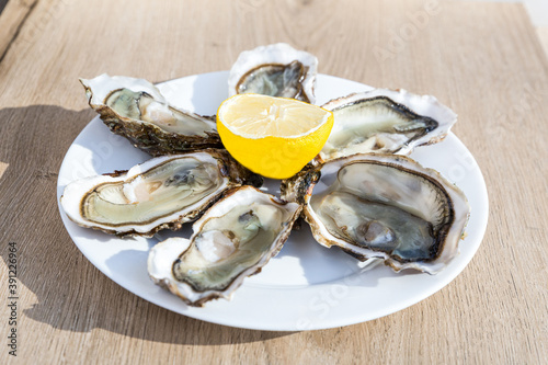 huitre du bassin de marennes oléron en France, Charente maritime. Spéciale et fine de claire à la dégustation