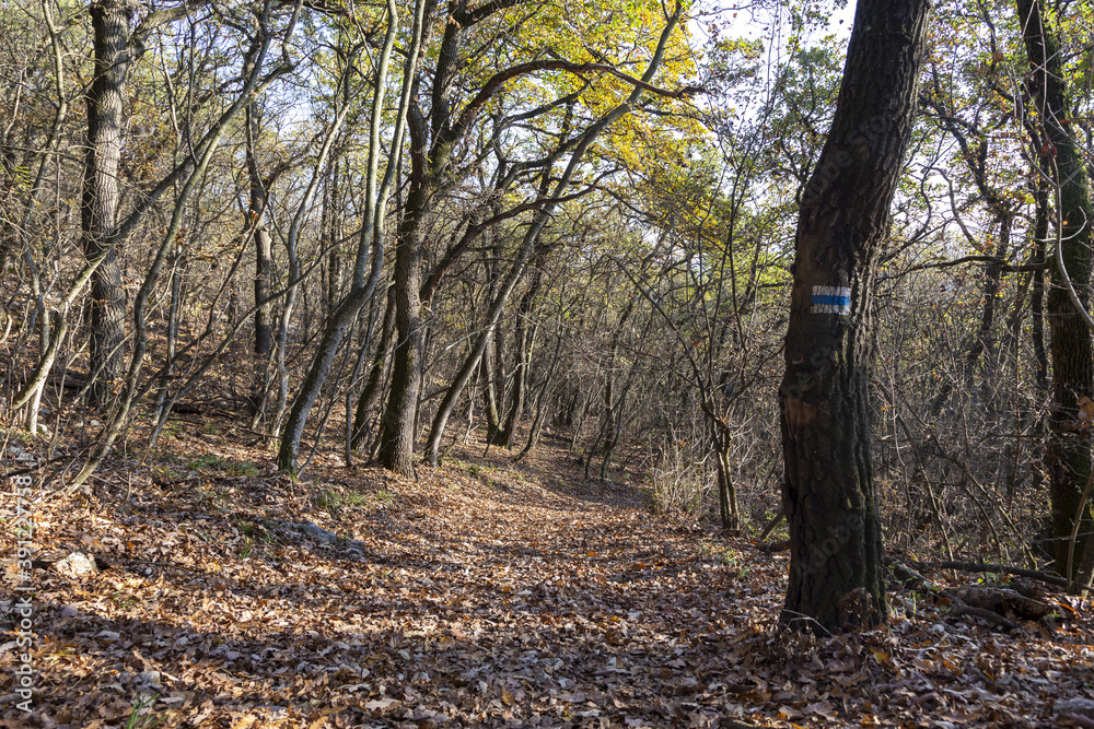 blaue wegzeichen in Ungarn für wandere im Herbst blaue wegzeichen in Ungarn für wandere im Herbst