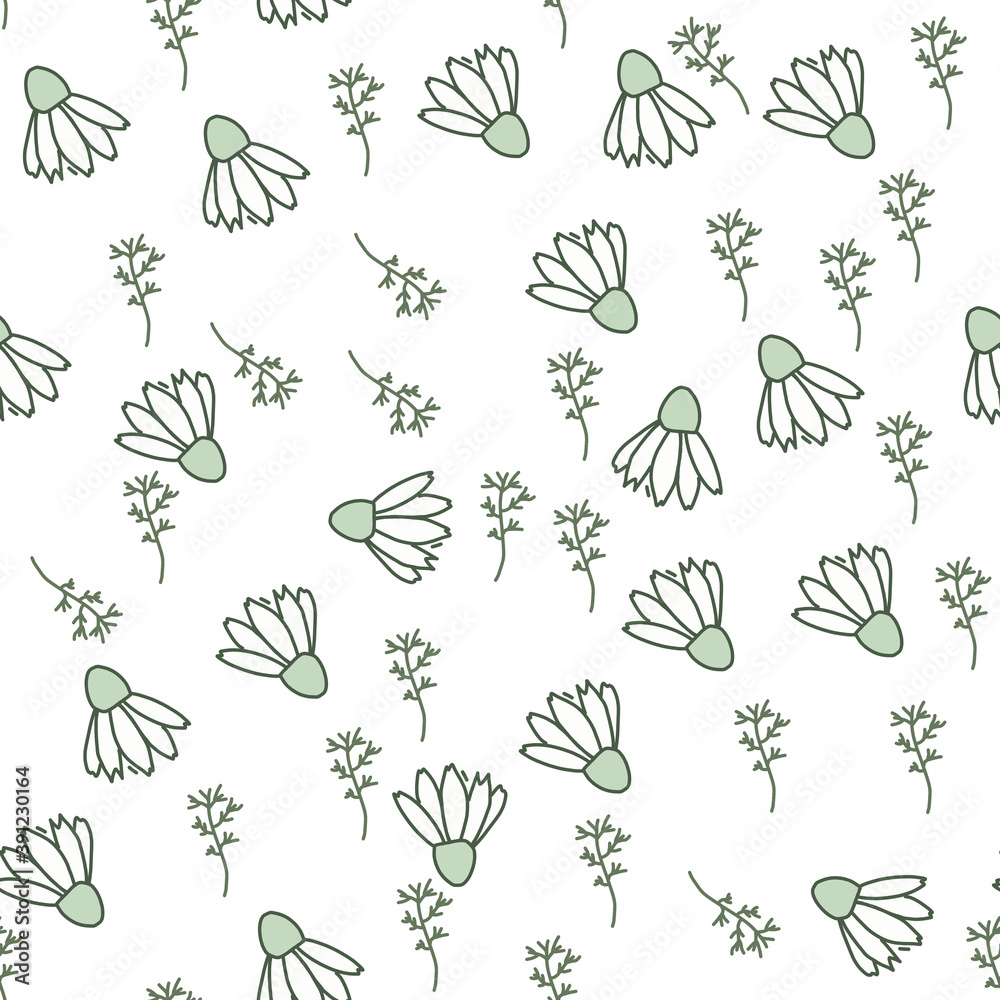 Pattern of daisies on a white background. Pattern of daisies on a white background.