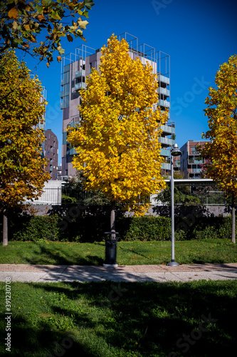 29-01-2020,Milano - City Life