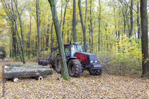 Ein roter Traktor im grünen Wald 