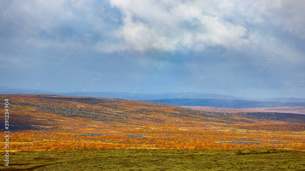 Storm clouds over the tundra in autumn. Kola Peninsula, Russia.